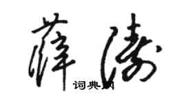 駱恆光薛濤草書個性簽名怎么寫
