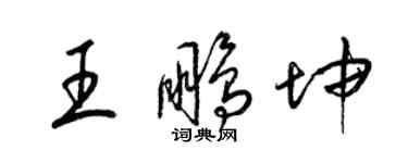 梁錦英王鵬坤草書個性簽名怎么寫