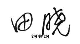 駱恆光田曉草書個性簽名怎么寫