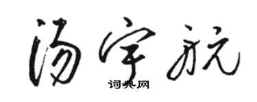 駱恆光湯宇航草書個性簽名怎么寫