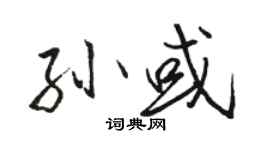 駱恆光孫或行書個性簽名怎么寫
