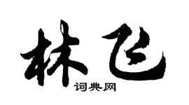 胡問遂林飛行書個性簽名怎么寫