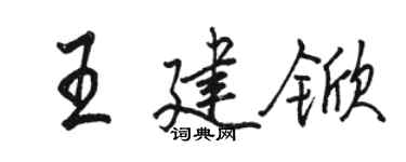 駱恆光王建杴行書個性簽名怎么寫