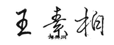 駱恆光王素柏行書個性簽名怎么寫