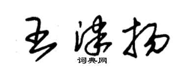 朱錫榮王津揚草書個性簽名怎么寫