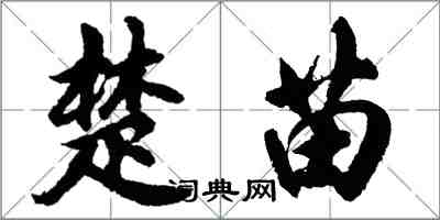 胡問遂楚苗行書怎么寫