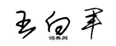 朱錫榮王向軍草書個性簽名怎么寫