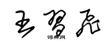 朱錫榮王習飛草書個性簽名怎么寫