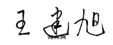 駱恆光王建旭草書個性簽名怎么寫