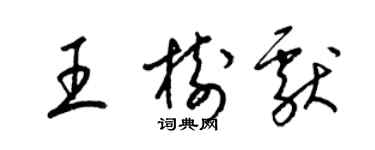 梁錦英王樹獻草書個性簽名怎么寫