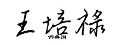 王正良王培祿行書個性簽名怎么寫
