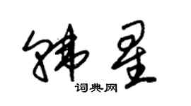 朱錫榮韓星草書個性簽名怎么寫