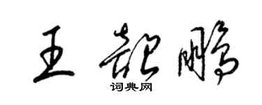 梁錦英王韶鵬草書個性簽名怎么寫