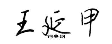 王正良王延甲行書個性簽名怎么寫