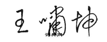 駱恆光王嘯坤草書個性簽名怎么寫