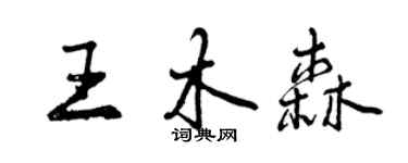 曾慶福王木森行書個性簽名怎么寫