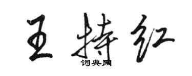 駱恆光王特紅行書個性簽名怎么寫