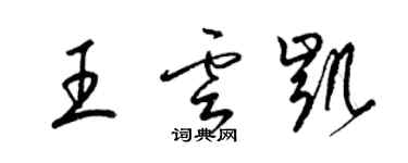 梁錦英王雲凱草書個性簽名怎么寫