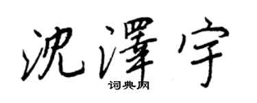 王正良沈澤宇行書個性簽名怎么寫