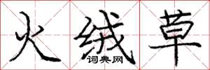龐中華火絨草楷書怎么寫