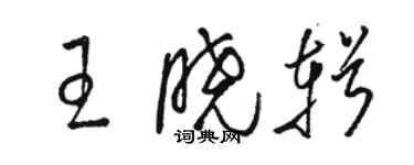 駱恆光王曉輯草書個性簽名怎么寫