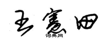 朱錫榮王憲田草書個性簽名怎么寫