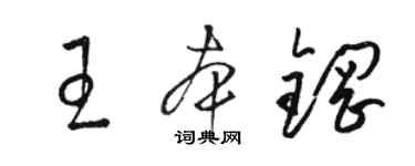 駱恆光王本鋼草書個性簽名怎么寫