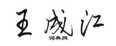 駱恆光王成江行書個性簽名怎么寫