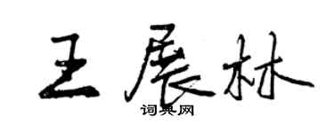 曾慶福王展林行書個性簽名怎么寫