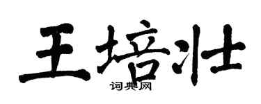 翁闓運王培壯楷書個性簽名怎么寫
