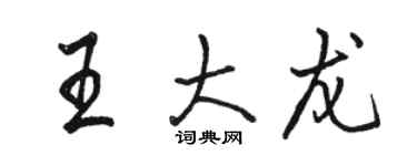 駱恆光王大龍行書個性簽名怎么寫