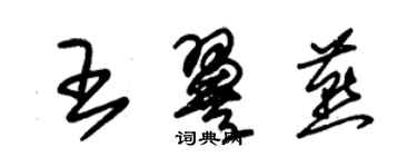 朱錫榮王翼燕草書個性簽名怎么寫