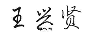 駱恆光王興賢行書個性簽名怎么寫