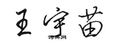 駱恆光王宇苗行書個性簽名怎么寫