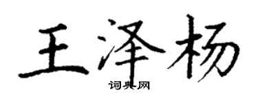 丁謙王澤楊楷書個性簽名怎么寫