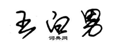 朱錫榮王白男草書個性簽名怎么寫