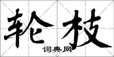 翁闓運輪枝楷書怎么寫