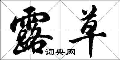 胡問遂露草行書怎么寫