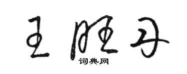 駱恆光王旺丹草書個性簽名怎么寫