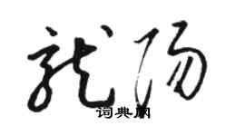 駱恆光龍陽草書個性簽名怎么寫