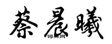 胡問遂蔡晨曦行書個性簽名怎么寫