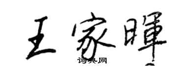 王正良王家暉行書個性簽名怎么寫
