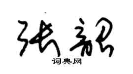 朱錫榮張韶草書個性簽名怎么寫