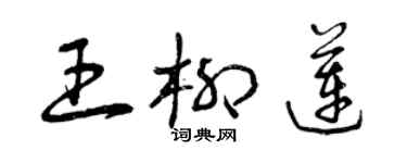 曾慶福王柳蓮草書個性簽名怎么寫