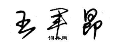 朱錫榮王軍昂草書個性簽名怎么寫