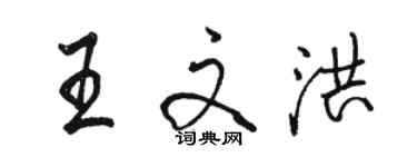 駱恆光王文洪行書個性簽名怎么寫