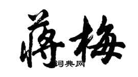 胡問遂蔣梅行書個性簽名怎么寫