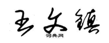 朱錫榮王文鎮草書個性簽名怎么寫
