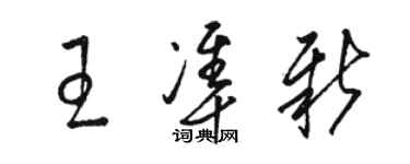 駱恆光王準新草書個性簽名怎么寫