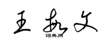 梁錦英王敏文草書個性簽名怎么寫